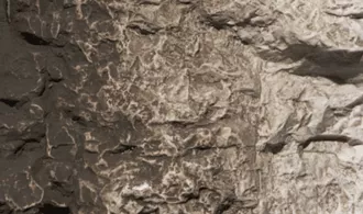 Woodland Scenics C1221 teinture brun clair 120mL